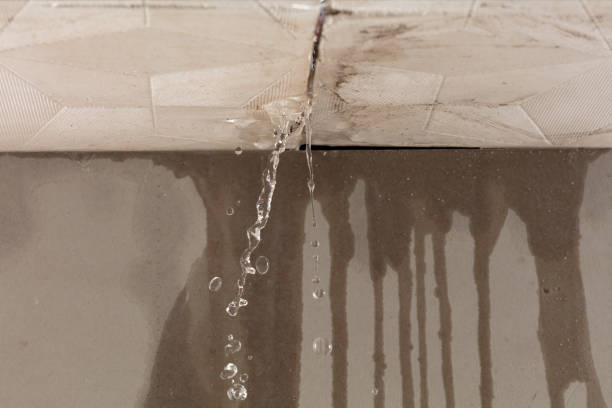 Professional Water Damage Repair technician working in Sunset, TX